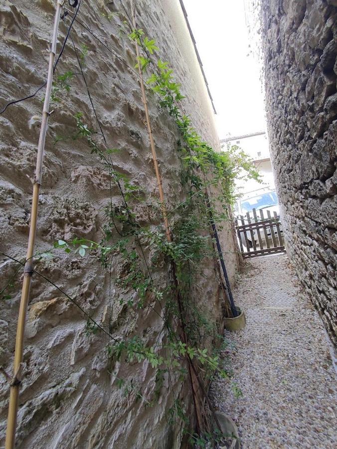 Il Fait Bon Vivre Classe 3 Etoiles Montcuq Exterior photo